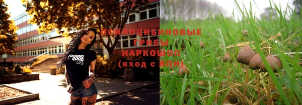 дурь Беломорск
