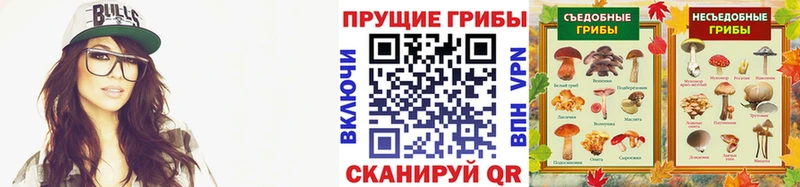 Галлюциногенные грибы ЛСД KRAKEN tor Курильск